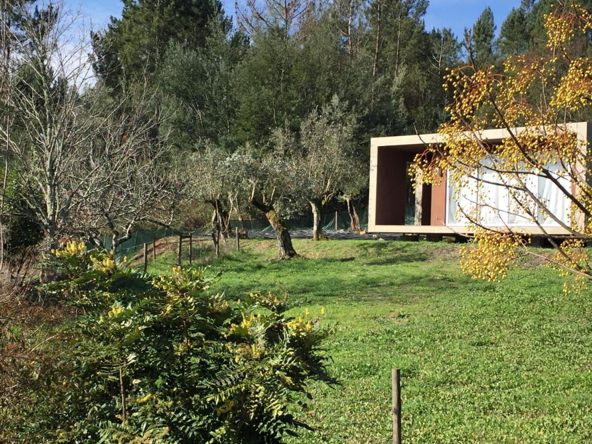 Adore Portugal Bungalow Natureza & Vista De Serra Lousã Exterior foto