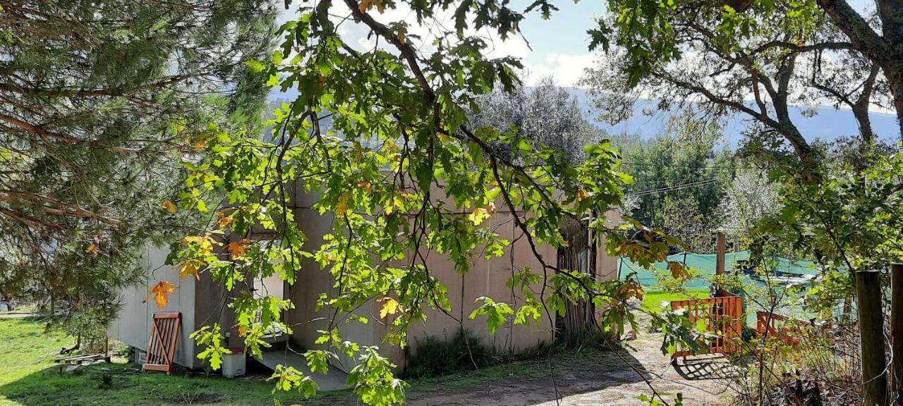 Adore Portugal Bungalow Natureza & Vista De Serra Lousã Exterior foto