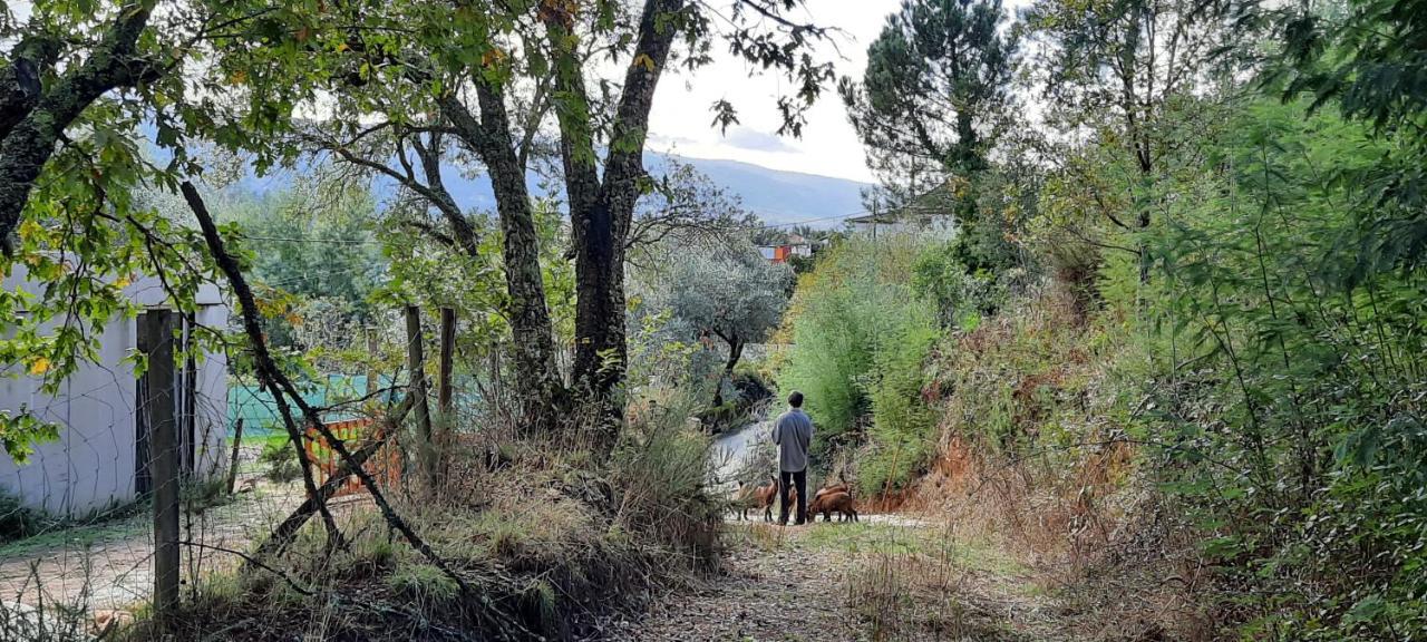 Adore Portugal Bungalow Natureza & Vista De Serra Lousã Exterior foto