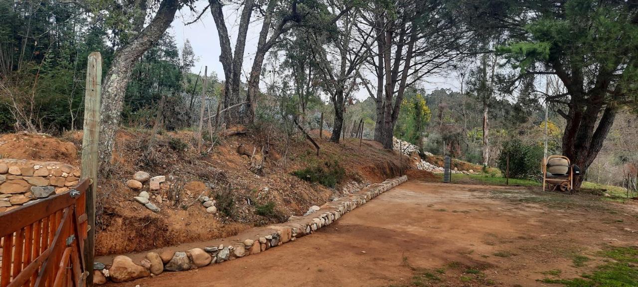 Adore Portugal Bungalow Natureza & Vista De Serra Lousã Exterior foto